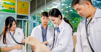 Đầu tư mạnh mẽ cho nhân lực nông nghiệp công nghệ cao